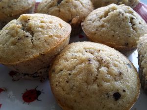 muffins-aux-pepites-de-chocolat-au-Thermomix.jpg