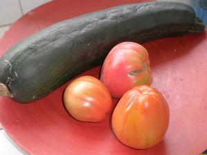 courgette-du-jardin.JPG