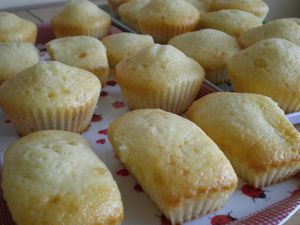 gateau-aux-yaourts-ronds-et-rectangles1.JPG