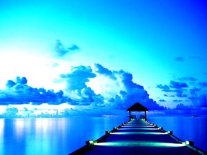 Dock.jpg