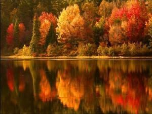 fall-lake.jpg