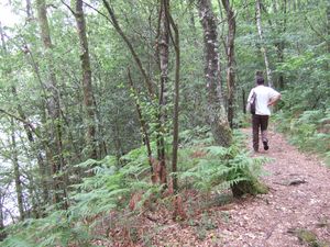 2011 0620062011PardouxStdelac0011