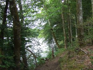 2011 0620062011PardouxStdelac0024