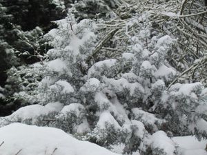 neige-2012-3704--1600x1200-.JPG