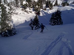 P1010020-copie-1