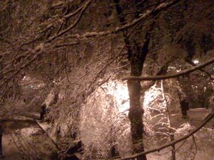 neige-nice.jpg