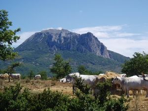 bugarach-2.jpg