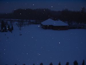 P1010003.JPG