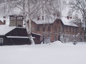 P1010072.JPG