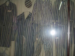 P1010095.JPG