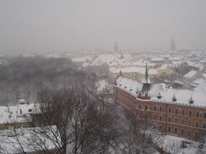 P1010140.JPG
