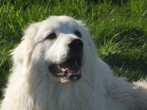7-mois-portrait.jpg
