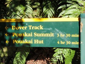 Pouakai03.jpg