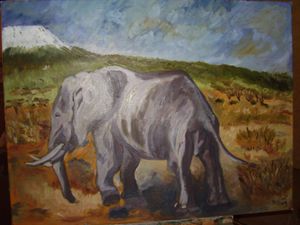 elephant d'amboseli