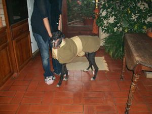 Lindo-050.jpg