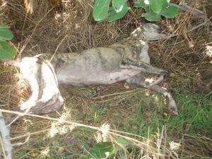 galga-pozo_10.jpg