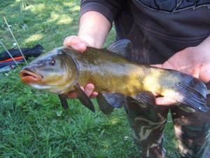 Fion la pêche dans le domaine de Volgograd