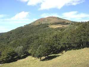 Grand-Ballon.jpg