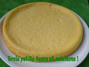 gateaufromageblanccoulikiwi.jpg