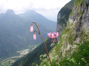 blog002