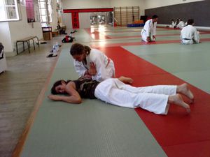 Jujitsu juin 2010 JSR (10)