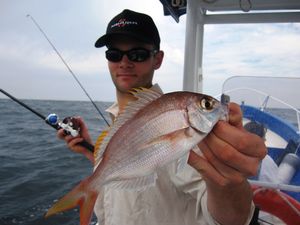 Poissons 9636