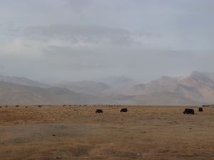 Tadjikistan-Murghab-Bulunkul (22)