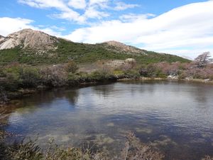Fitz Roy (17)