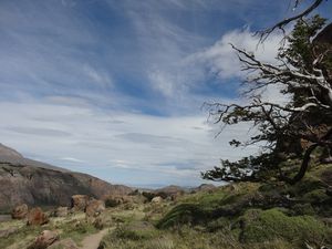 Fitz Roy (24)