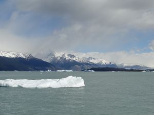 Croisière Parque Nacional Los Glaciares (2)