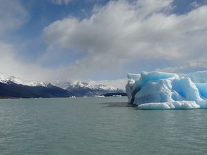 Croisière Parque Nacional Los Glaciares (3)