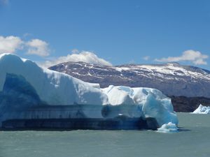 Croisière Parque Nacional Los Glaciares (8)