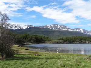 Parque nacional Tierra del fuego (16)