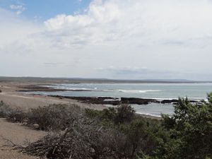 Punta tombo (10)
