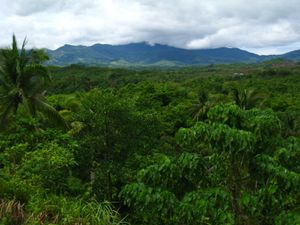 Palawan (2)