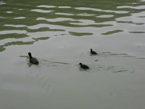 Parc-de-Sceaux 0963