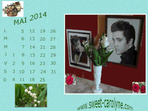mai2014