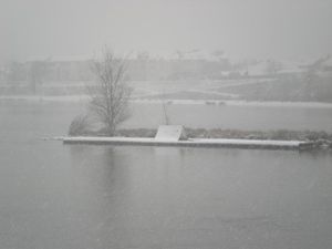 DSCN4689