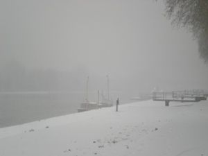 DSCN4696