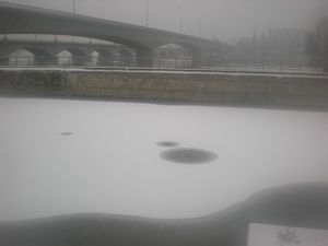 DSCN4703