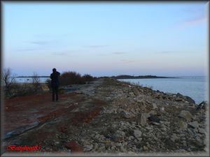 P1290213-copie-1.jpg