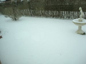 DSC03265.JPG