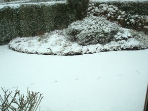 DSC03266.JPG