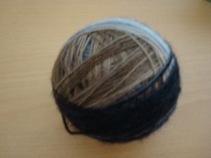 DSC03302.JPG