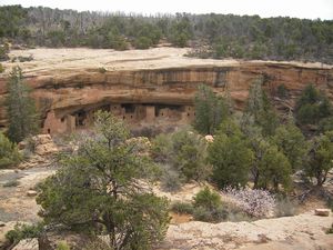 060Mesa-Verde-Spruce-Tree-House.JPG