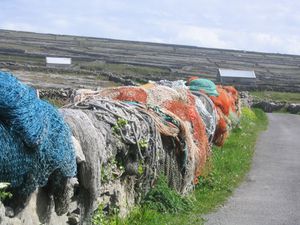 irland17.jpg