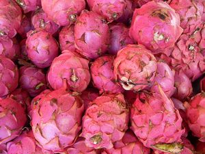 pitaya--2-.jpg