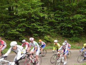 DSC03906.JPG