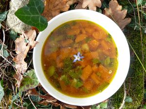 soupe aus 3 légumes et miso_saveurenergie@free.fr.JPG