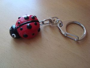 coccinelle-2.JPG